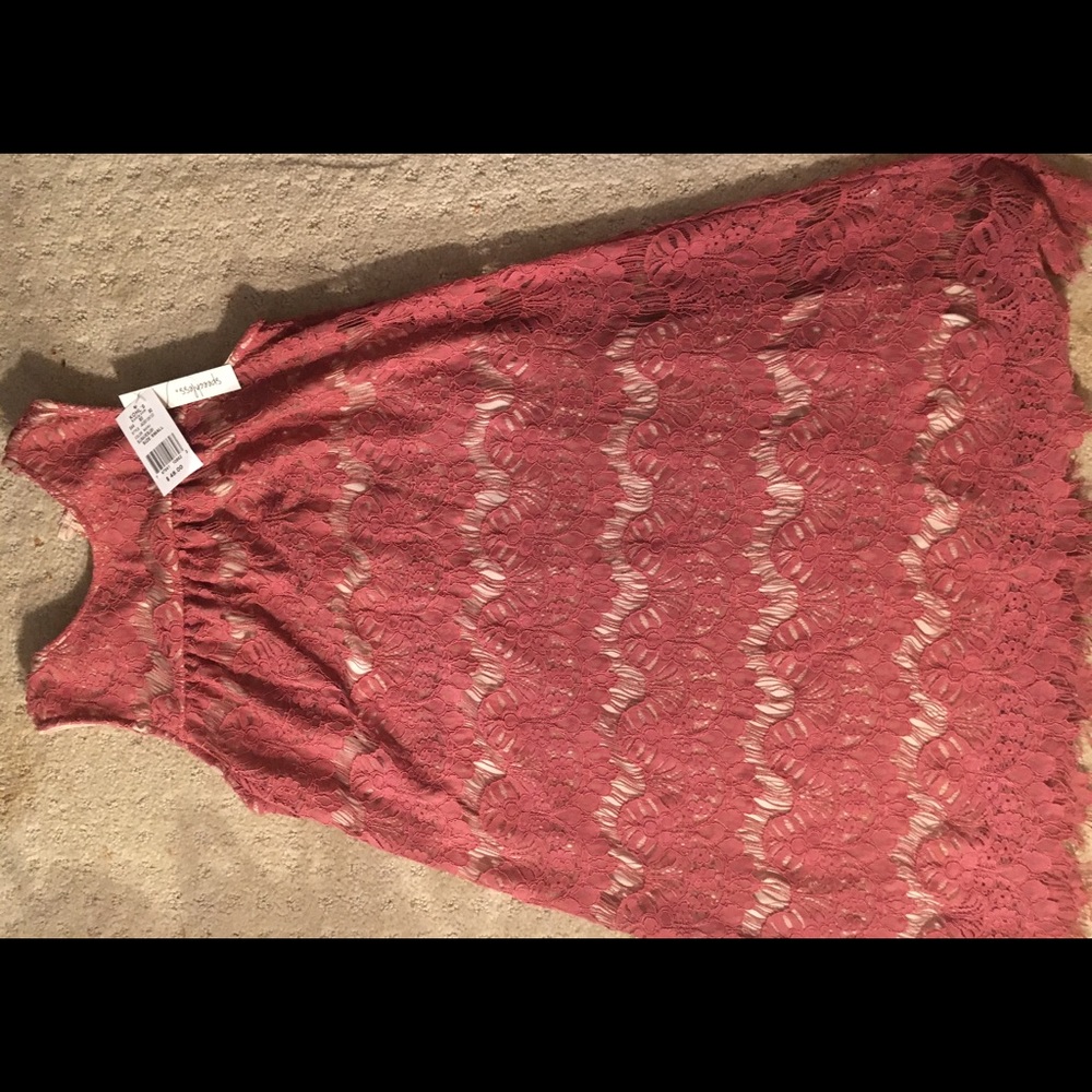 Speechless Rose Lace and Tan Mini Dress